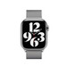 鋼織手環的正面，並展示 Apple Watch 的正面及數碼錶冠。