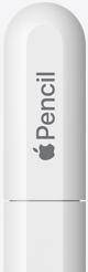 캡에 Apple Pencil이라는 각인이 새겨진 Apple Pencil(USB-C). Apple 로고로 Apple이라는 단어를 표현하고 있습니다