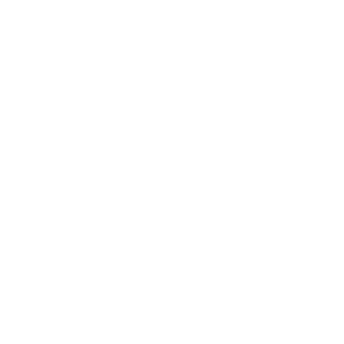 foxie curls logo