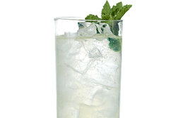 Image for Gin: Southside Fizz