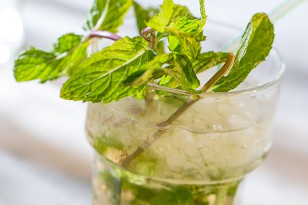 Image for Rum Julep