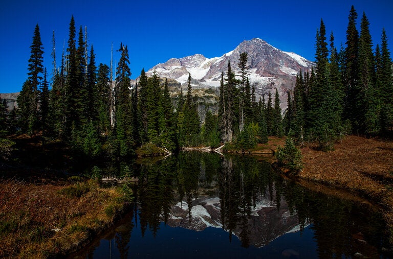 New to implementing timed-entry reservations for vehicles is Mount Rainier National Park, in Washington, for its popular Paradise and Sunrise Corridors during certain times in the summer season. 