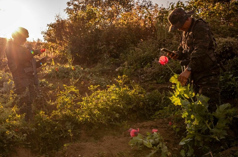 Guatemalan security forces during a mission to eradicate opium poppies last month in Vista Quetzal village, Tajumulco, San Marcos.