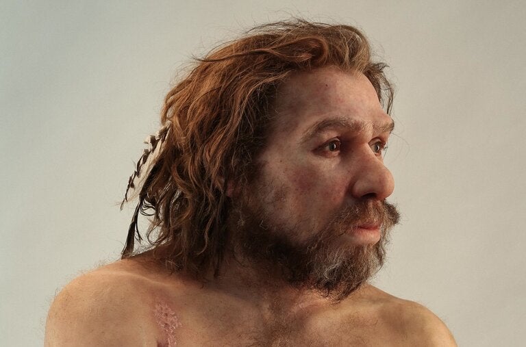 Look like someone you know? No longer the hunched and hairy creatures of the 1980s and ’90s, Neanderthals are now depicted as blond and blue-eyed tool users.