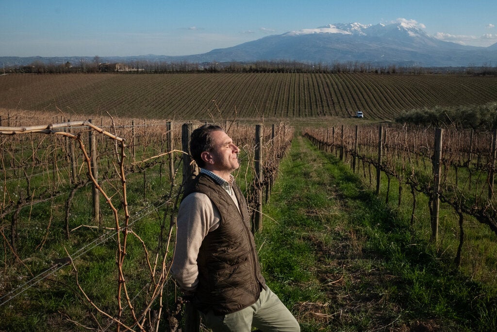 Stefano Papetti in a vineyard of De Fermo, which he and his wife, Eloisa de Fermo, farm biodynamically. The Gran Sasso looms to the west.