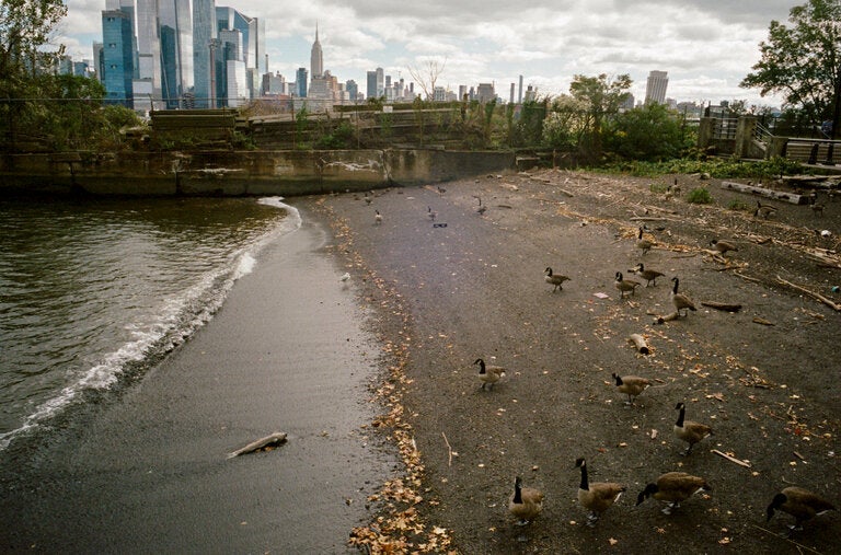 When high tide and a lot of rain come at once, as they did in late September, it can overwhelm low-lying Hoboken.