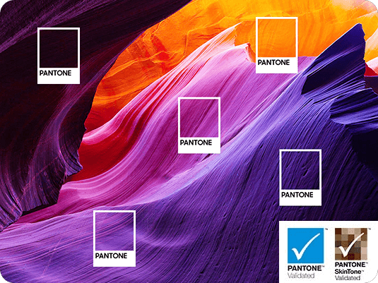 Samsung OLED z 2024 r. wyświetla próbki kolorów Pantone na tle barwnej sceny rodzajowej. Logo „Pantone” i „Pantone SkinTone Validated”.