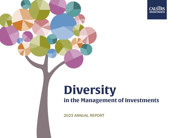 Diversity in the Management of Investments