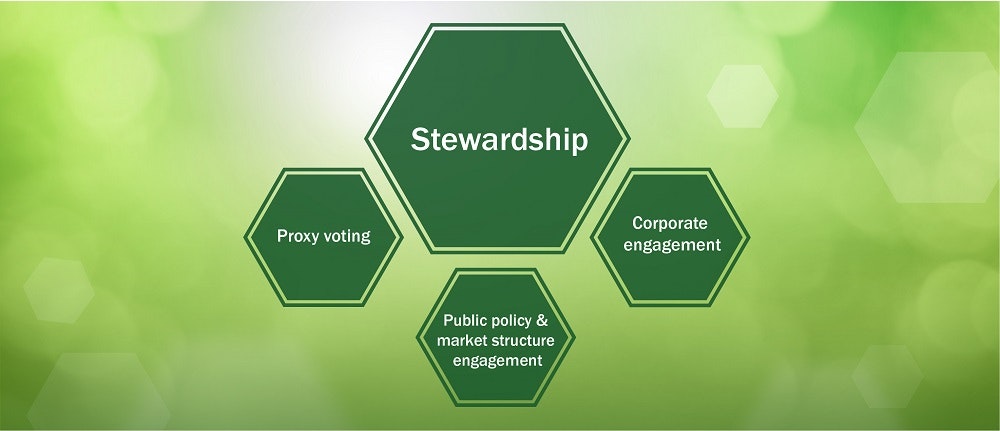 Green hexagons reading Stewardship, Proxy voting, Corporate engagement, and Public policy & market structure engagement