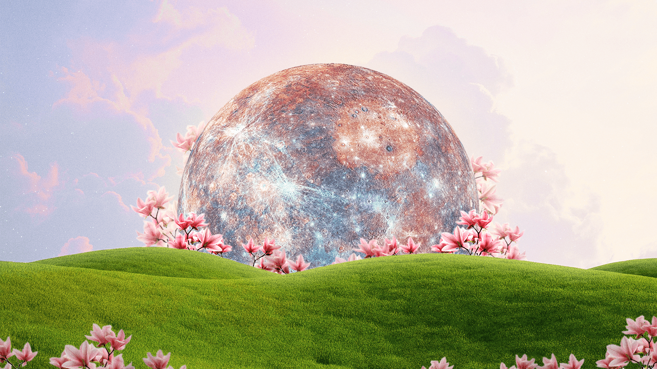 Planet Mercury rising above a green field with cherry blossom flowers, entering Taurus on May 15, 2024